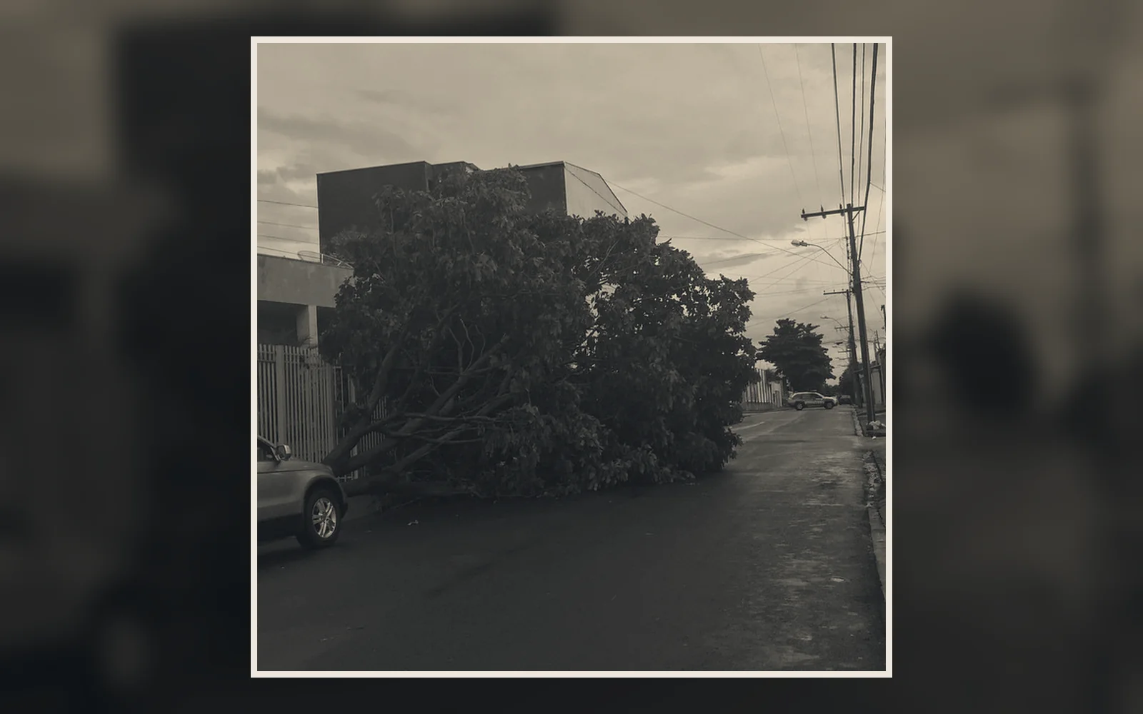 Danos urbanos após chuva em Uberaba