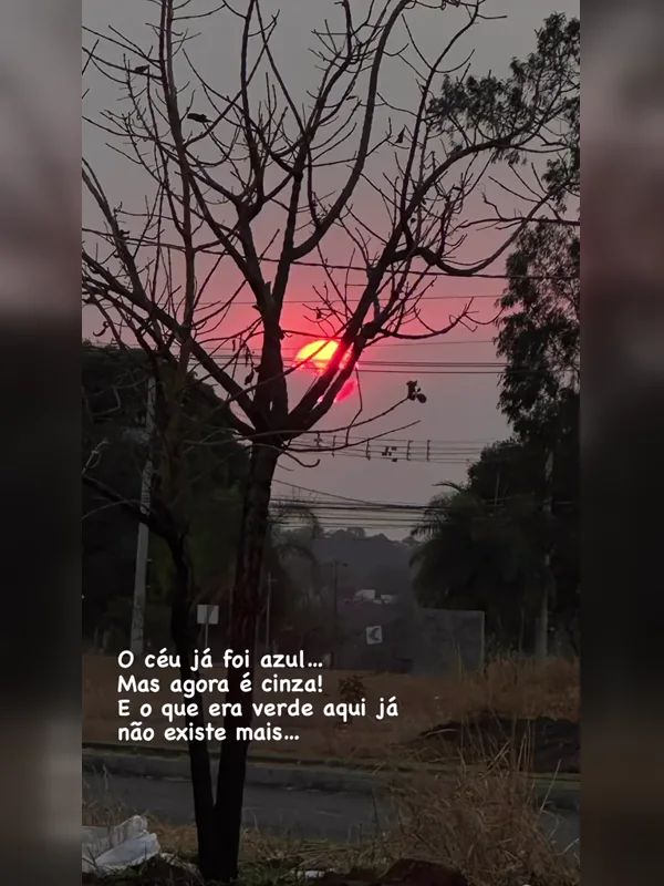 Capa editorial do vídeo O céu já foi azul