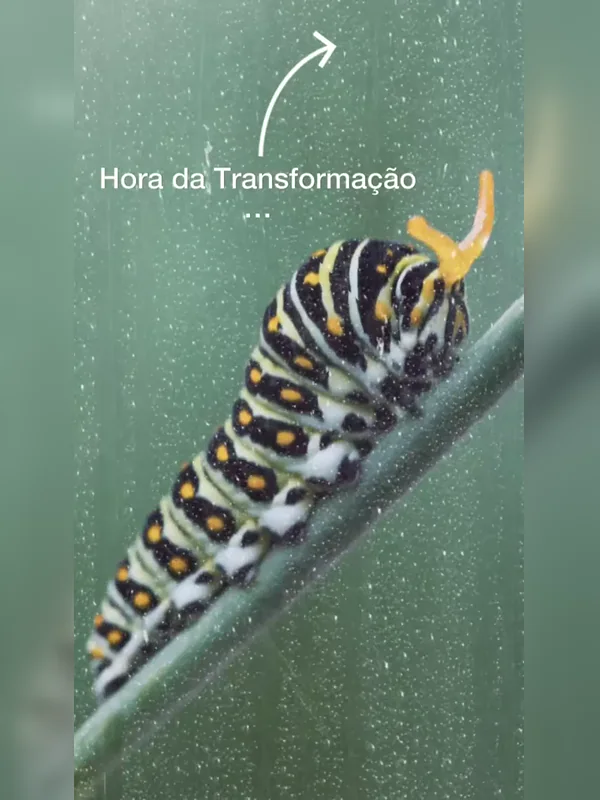Capa editorial do vídeo O primeiro passo para transformar a realidade